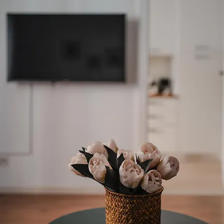 4venti Cozy Hub Apartment